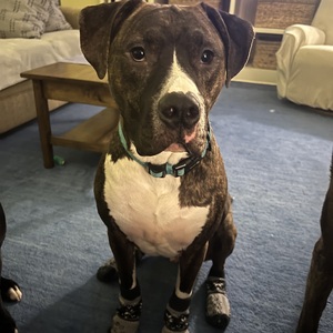 Fundraising Page: Germaine Smith